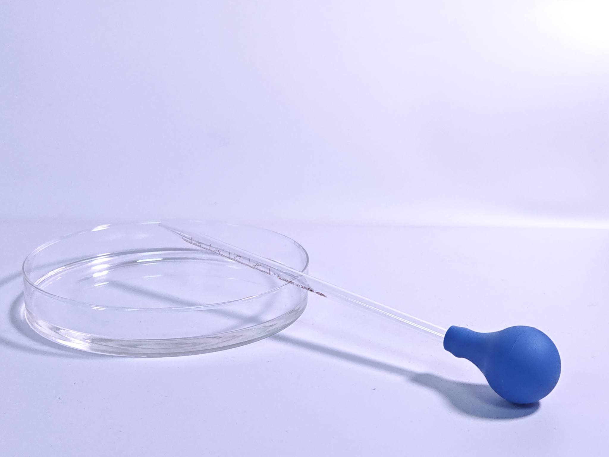 T306 Dry-strength agent