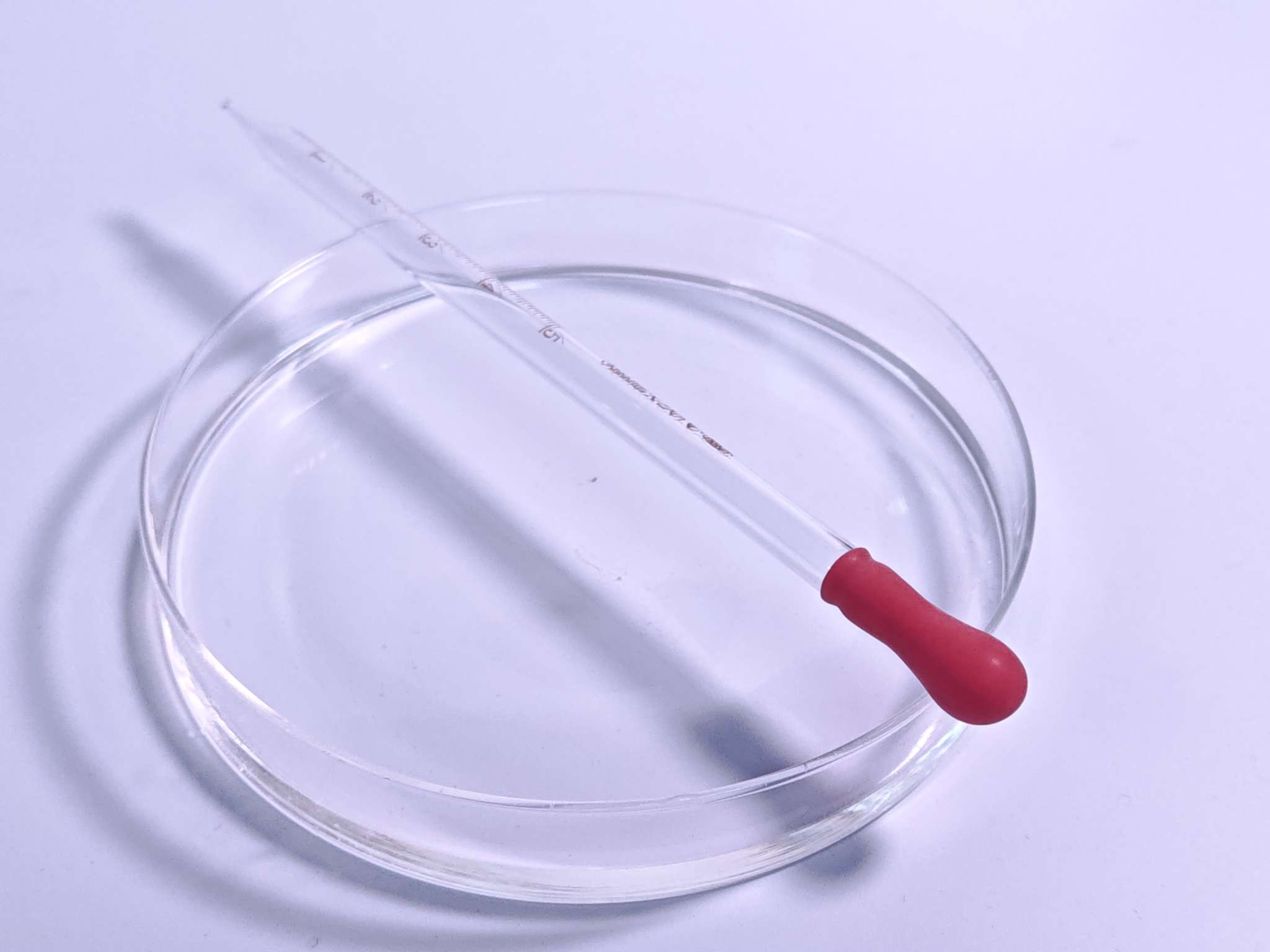  T312 Dry-strength agent